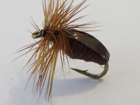 Brown Beetle Dry Fly