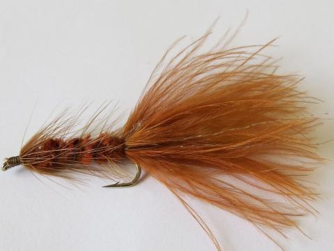 Brown Woolly Bugger