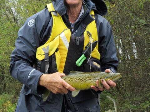 Good Day for Browns in the Rain