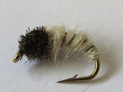 Caddis-Pupa-Nymph-Fly