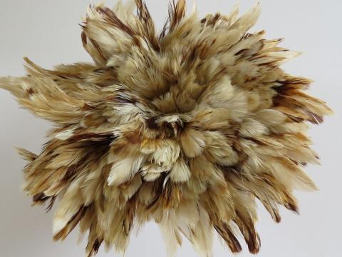 Caramel Cream Strung Feathers Bulk