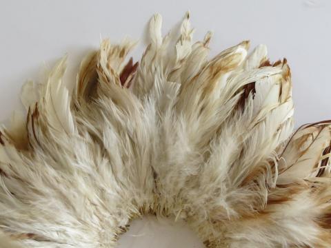 Caramel Cream Strung Feathers Closeup