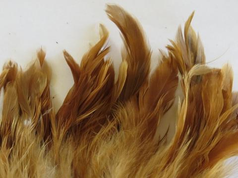 Caramel Strung Feathers Closeup