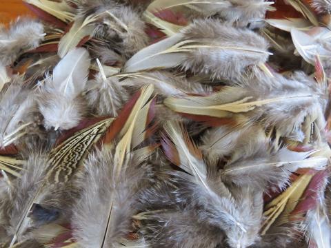 Cerise and Cream Feathers Bulk