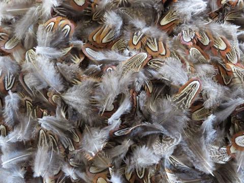 Chocolate Brown Spears Feathers Bulk