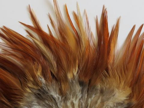 Copper Cream Strung Feathers Closeup