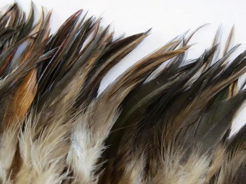 Deep Forest Green Strung Feathers Closeup