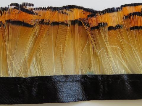 Deep Golden Pheasant Banded Feathers