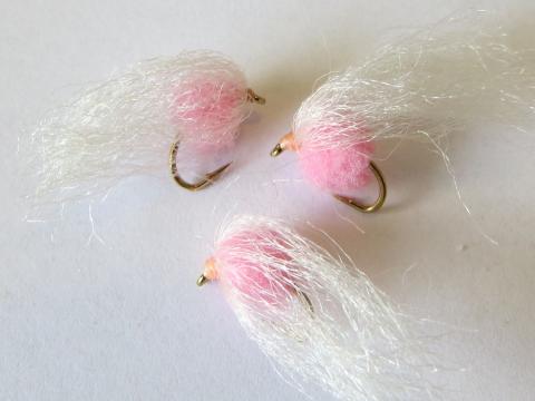 Egg-Sack-Pink-Globug-Fly