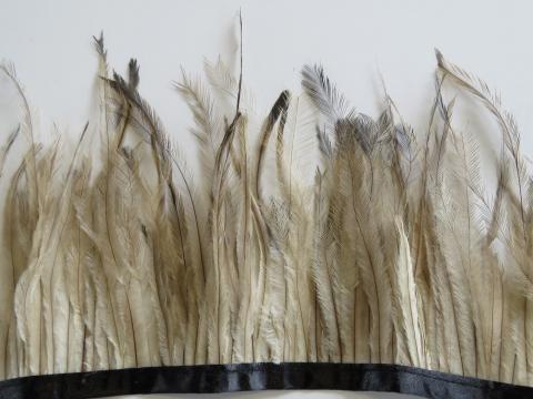 Emu Feathers Banded