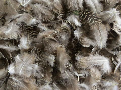 Grey-Brown-with-Hints-of-Green-Loose-Feathers-Bulk