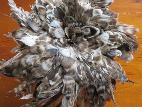Grey Chincilla Coque Tails Strung Feathers Bulk