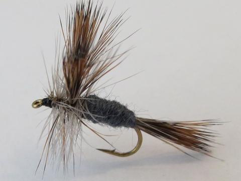 Grey Wulff Dry Fly