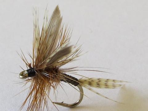 Kakahi-Queen-Dry-Fly