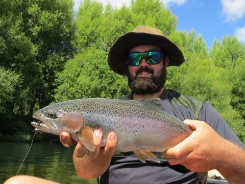 Rainbow on a Foam Cicada Dry Fly