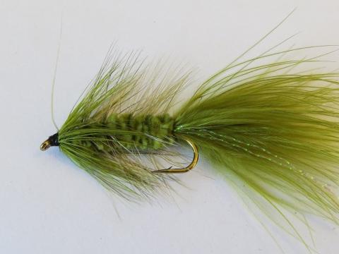The Olive Deepwater Woolly Bugger Fly for trout fishing