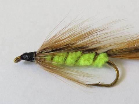 Parson's Glory Streamer Fly