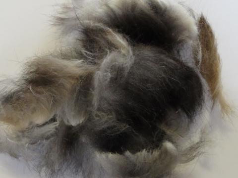 Possum Fur for Dubbing