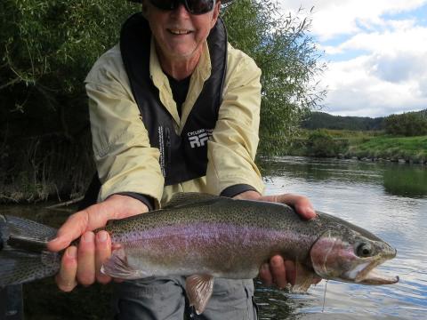 Rainbow Trout on an Elk Hair Caddis Dry Fly