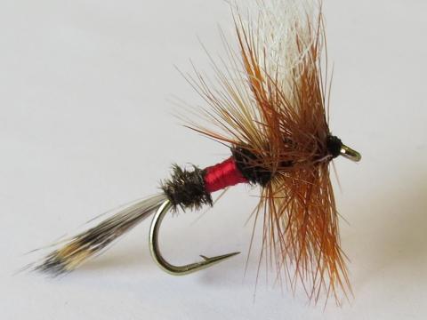 Royal Wulff Dry Fly