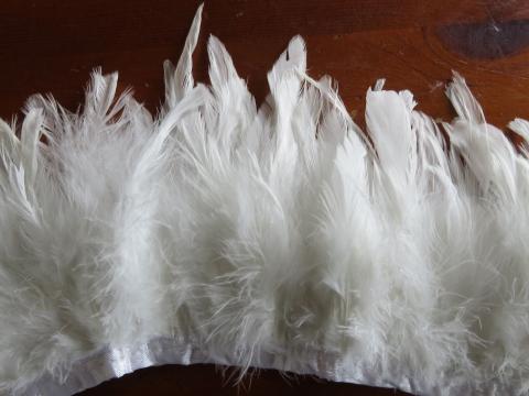 White-Banded-Schlappen-Feathers