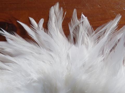 White Saddle Strung Feathers Closeup