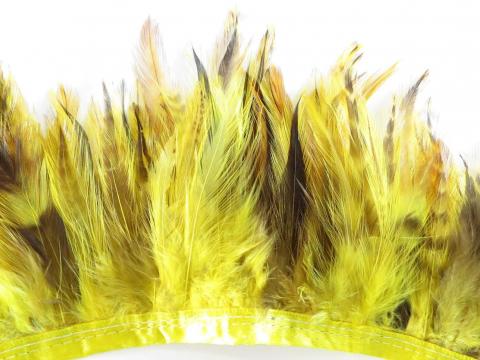 Yellow Ginger Hackle Banded Feathers