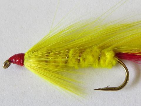 Yellow-Lady-Streamer-Fly