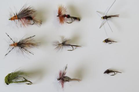 Trout Fly Store