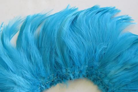 Aqua rooster hackle strung closeup