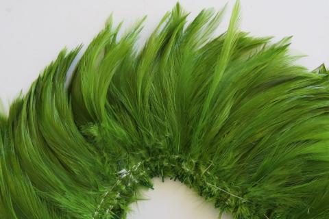 Olive rooster hackle strung feathers closeup